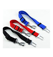 Leads & Harnesses