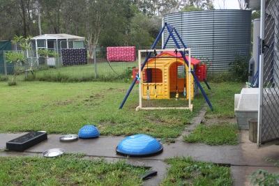 puppy play area